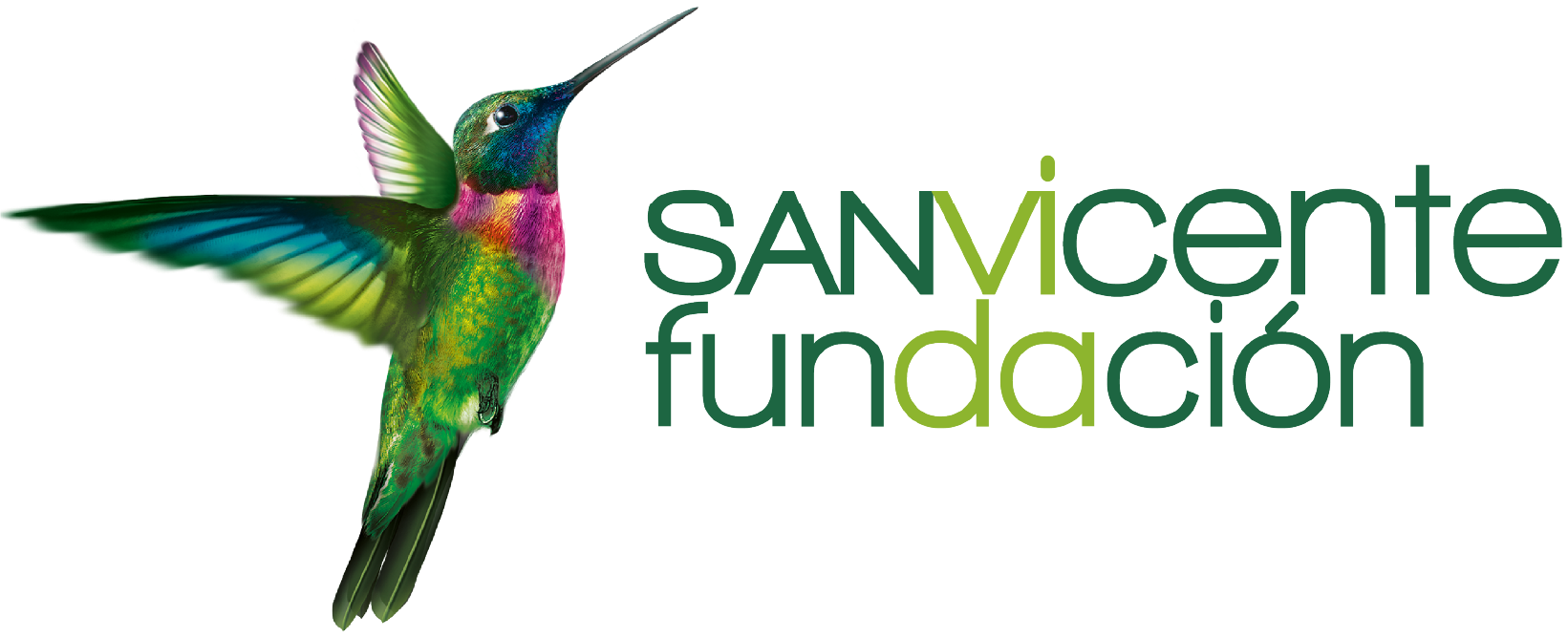 San Vicente Fundación